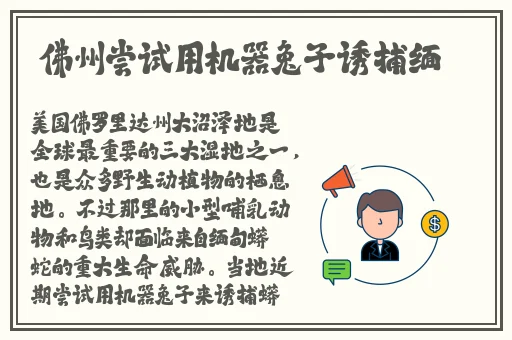 香蕉茄子樱花草莓榴莲绿巨人